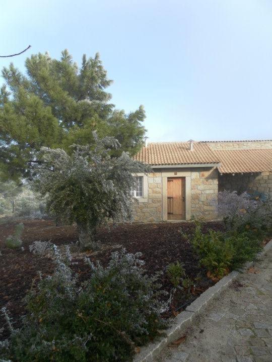 Montanhas Do Douro Villa Paredes da Beira Екстериор снимка
